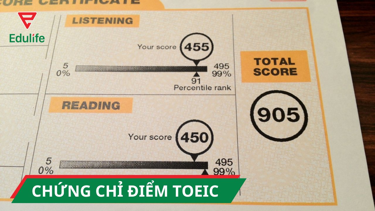 xin-cap-chung-chi-toeic-1