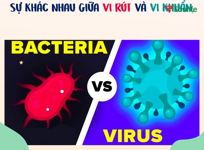 Nội dung trong bài đọc phần tiếng Anh 11 Unit 1 Communication and Culture cung cấp thông tin phân biệt giữa vi khuẩn và vi rút