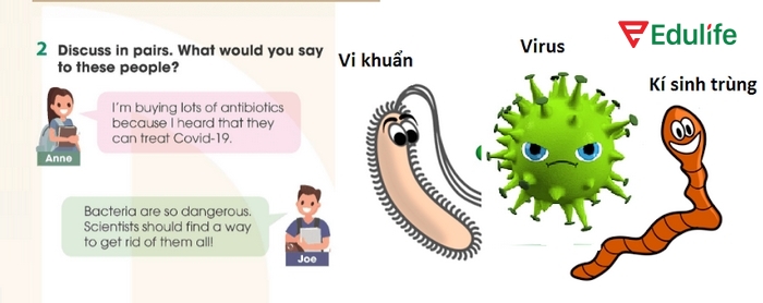 Yêu cầu của bài tập tiếng Anh 11 Unit 1 Communication and Culture - CLIL2