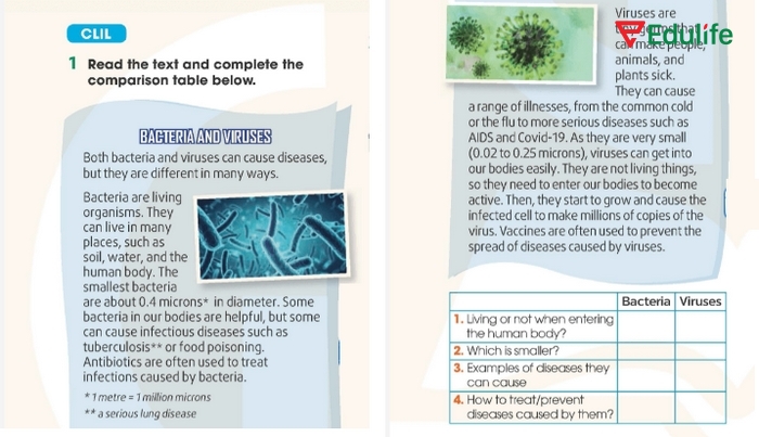 Đoạn văn và yêu cầu trong bài tập tiếng Anh 11 Unit 1 Communication and Culture - CLIL1