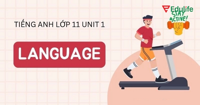 Mục tiêu chính của phần tiếng Anh 11 Unit 1 Language là giúp học sinh mở rộng vốn từ vựng theo chủ đề sức khỏe và lối sống