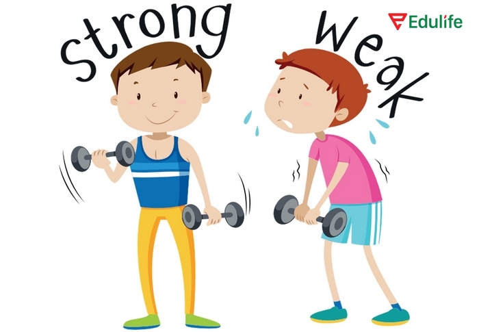 Phần Pronunciation 1 tiếng Anh 11 Unit 1 Language là luyện nghe và nói dạng mạnh và dạng yếu của trợ động từ