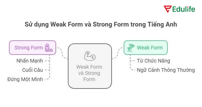Phần Tiếng Anh 11 Unit 1 Language phần Pronunciation 2 yêu cầu đọc các cặp câu với bạn học