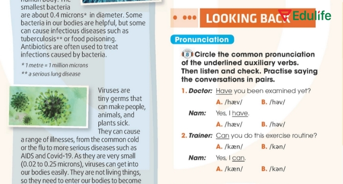 Yêu cầu của bài tập Pronunciation phần tiếng Anh 11 Unit 1 Looking Back