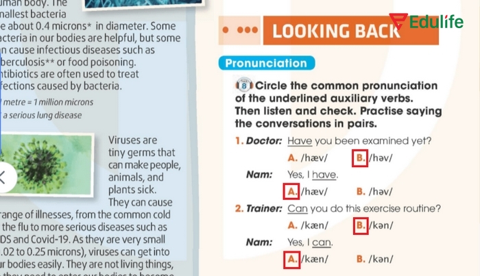 Các phương án cần chọn của bài tập Pronunciation phần tiếng Anh 11 Unit 1 Looking Back