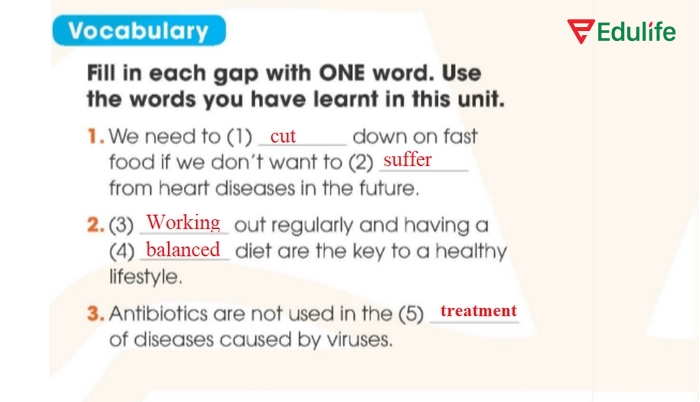 Các từ cần điền vào ô trống của bài tập Vocabulary phần tiếng Anh 11 Unit 1 Looking Back