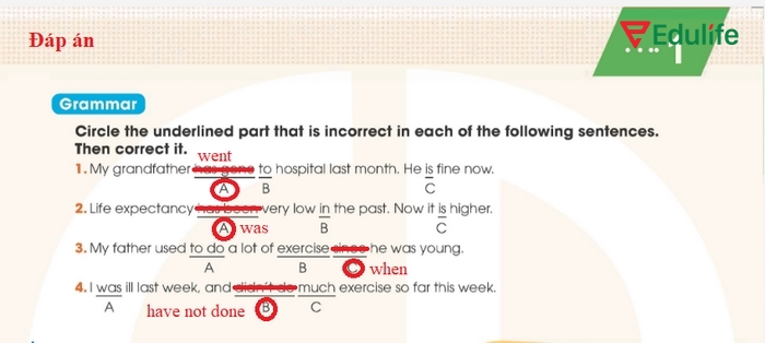 Đáp án từ thay thế cần sửa trong bài tập Grammar của tiếng Anh 11 Unit 1 Looking Back