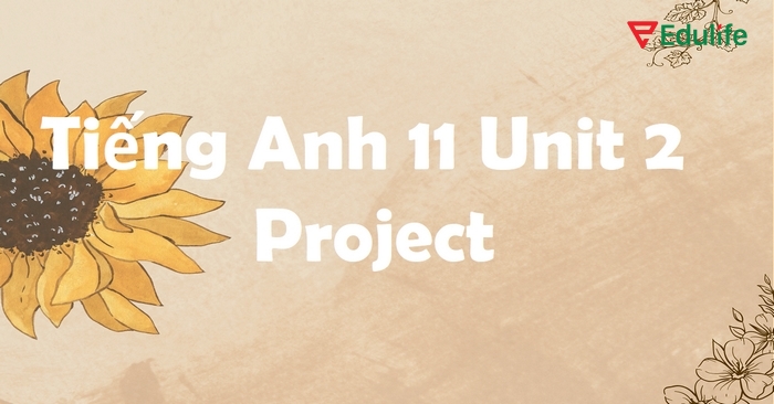 Bài tập phần tiếng Anh 11 Unit 2 Project (trang 27) là yêu cầu làm nhiệm vụ thực tế chủ đề Generational differences among us
