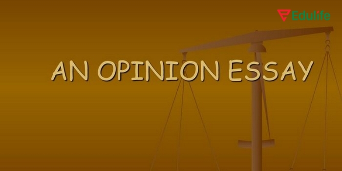 Phần bài tập 2 Writing Unit 2 này sẽ giúp học sinh nắm được cấu trúc của một bài luận opinion essay