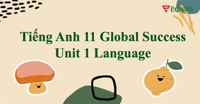 Phần tiếng Anh 11 Unit 3 Language cung cấp 6 bài tập để học sinh củng cố và phát triển ba kỹ năng ngôn ngữ quan trọng