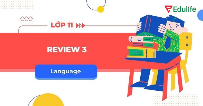 tiếng Anh 11 Unit 3 Review Language