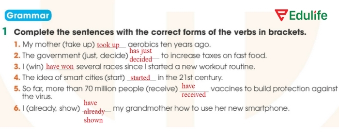 Đáp án bài tập Grammar 1 phần tiếng Anh 11 Unit 3 Review Language