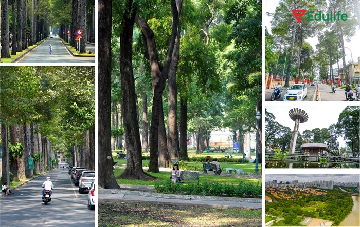 Có thể thấy chất lượng không khí, môi trường sống có tầm ảnh hưởng lớn nhất đến tuổi thọ, sức khỏe con người