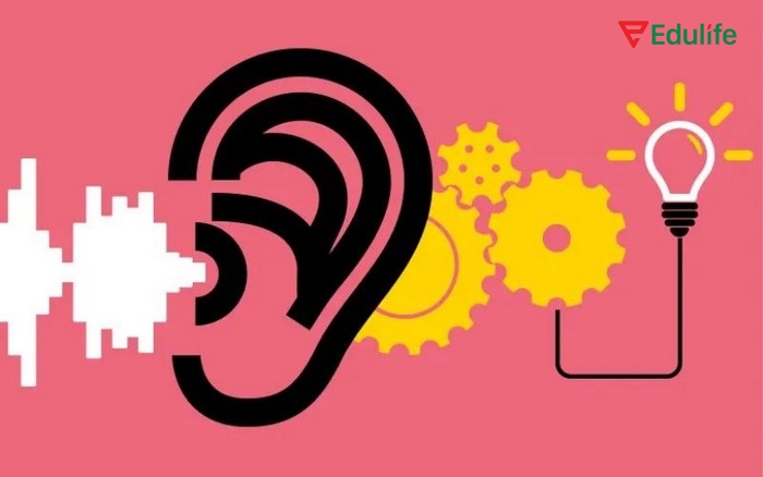 Để hoàn thành bài tập 3 phần tiếng Anh 11 Unit 4 Listening thì học sinh cần nghe và phân tích thông tin từ dữ liệu nghe được