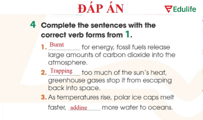 Đáp án bài tập 4 phần tiếng Anh 11 Unit 5 Getting Started sau khi hoàn thiện điền từ theo yêu cầu