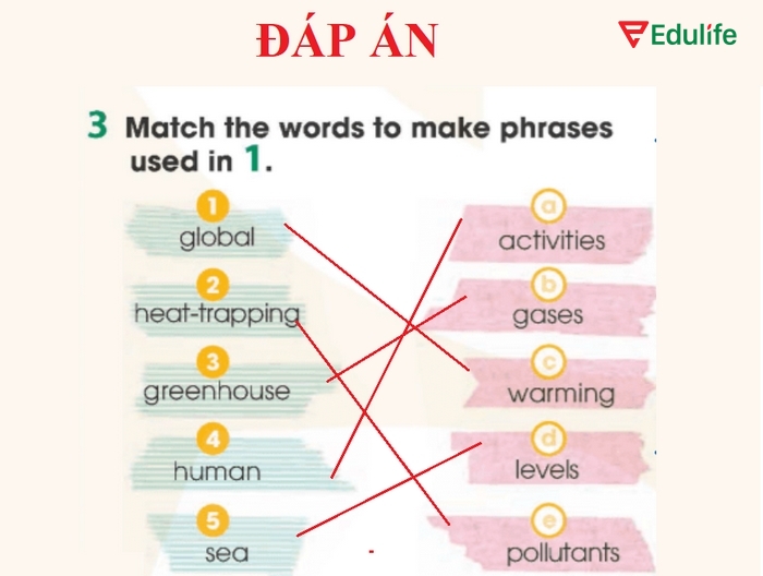 Đáp án bài tập 3 sau khi hoàn thiện nối từ theo yêu cầu