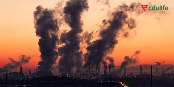 Yêu cầu của bài tập 2 phần tiếng Anh 11 Unit 5 Listening là yêu cầu học sinh xác định nội dung chính của bài nghe