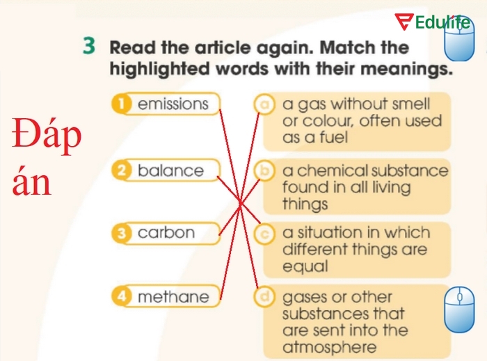 Đáp án của bài tập 3 phần tiếng Anh 11 Unit 5 Reading sau khi hoàn thiện nối từ với nghĩa