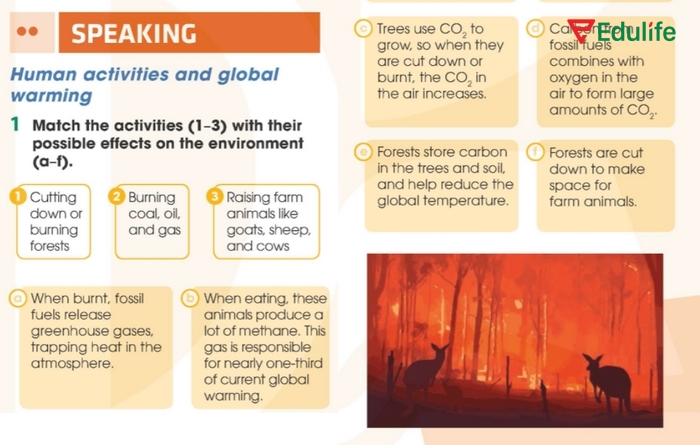 Chi tiết yêu cầu của bài tập 1 phần tiếng Anh 11 Unit 5 Speaking