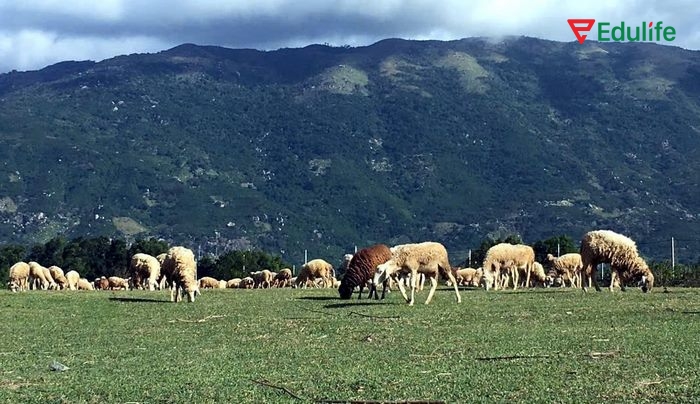 Bài tập 1 phần tiếng Anh 11 Unit 5 Speaking giúp học sinh biết đến 3 nguyên nhân lớn gây hiệu ứng nhà kính