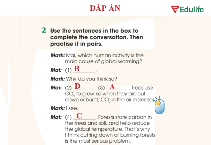 Đáp án cần điền của bài tập 2 phần tiếng Anh 11 Unit 5 Speaking