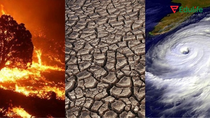 Bộ tiếng Anh 11 Unit 5 Từ vựng gồm các từ chuyên ngành về môi trường, các hiện tượng thiên nhiên, hiện tượng nóng lên toàn cầu