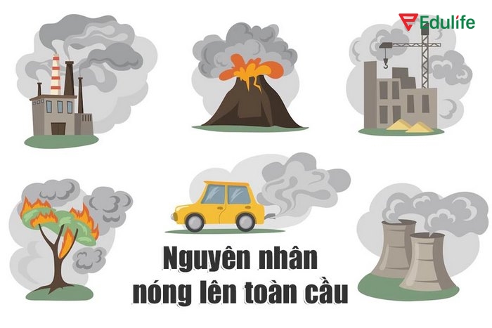 Có thể chia kiến thức tiếng Anh 11 Unit 5 Từ vựng theo chủ đề để thấy rõ nguyên nhân, hậu quả khi trái đất nóng lên