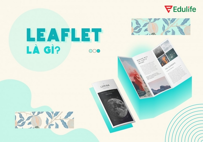 Để hoàn thành tốt bài viết phần tiếng Anh 11 Unit 5 Writing thì cần hiểu và nắm rõ cấu trúc viết leaflet (tờ rơi)