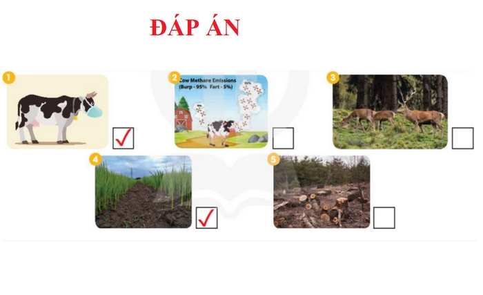 Đáp án của bài tập CLIL 1 phần tiếng Anh 11 Unit 5 Communication and Culture 