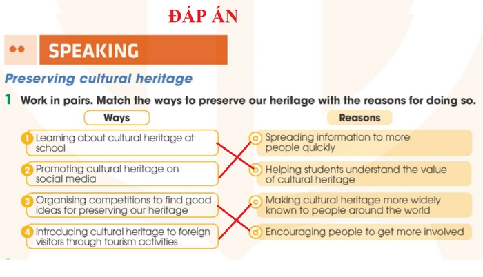 Đáp án cần nối theo yêu cầu của bài tập 1 phần tiếng Anh 11 Unit 6 Speaking