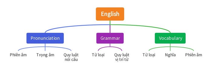 Phần tiếng Anh 11 Unit 7 Looking Back bao gồm ba nội dung quan trọng trong tiếng Anh: Phát âm, Từ vựng và Ngữ pháp