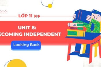 tiếng Anh 11 Unit 8 Looking Back