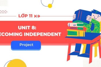 tiếng Anh 11 Unit 8 Project