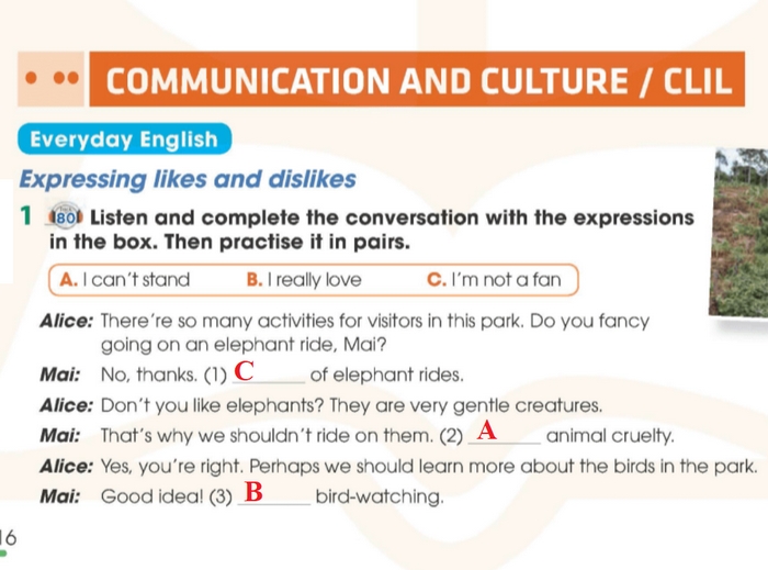 Đáp án bài tập Everyday English 1 tiếng Anh 11 Unit 10 Communication and Culture