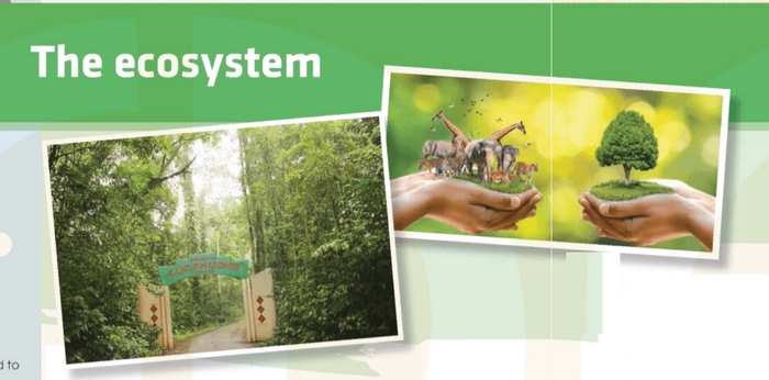 Bài đọc tiếng Anh 11 Unit 10 Getting Started là cuộc hội thoại giữa cô Hoa và Nam, Mai về chuyến đi đến Cúc Phương