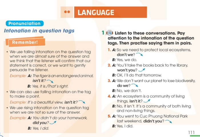 Một nội dung quan trọng của tiếng Anh 11 Unit 10 Language là câu hỏi đuôi