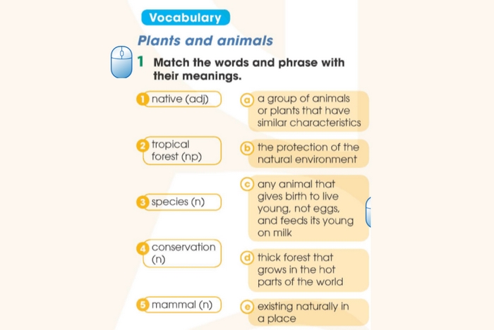 Yêu cầu của bài tập Vocabulary 1 tiếng Anh 11 Unit 10 Language