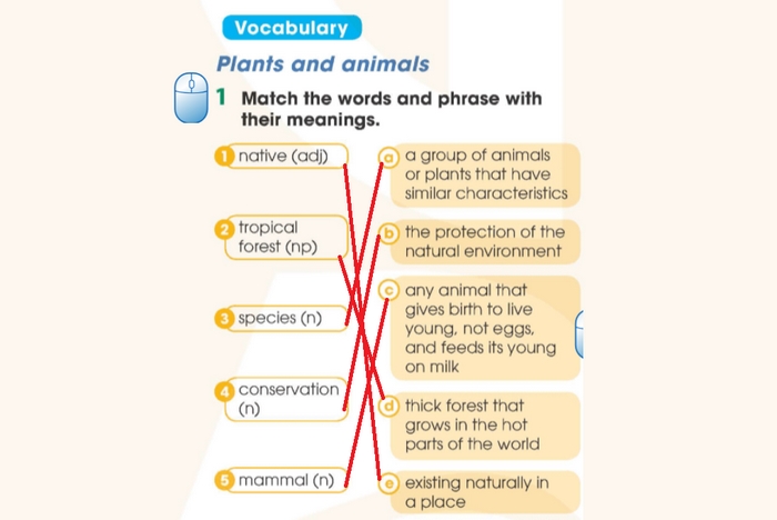 Đáp án của bài tập Vocabulary 1 tiếng Anh 11 Unit 10 Language