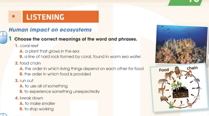 Yêu cầu bài 1 tiếng Anh 11 Unit 10 Listening