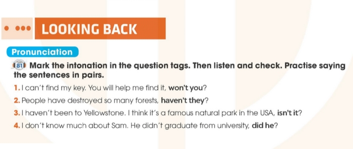 Yêu cầu của bài tập Pronunciation tiếng Anh 11 Unit 10 Looking Back