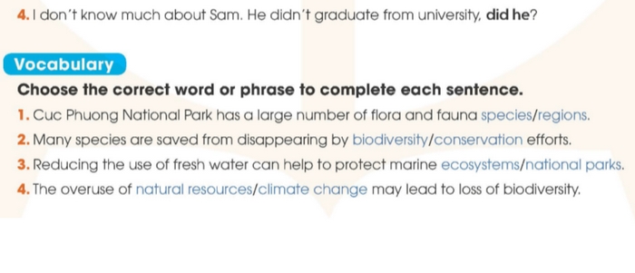 Yêu cầu bài tập Vocabulary tiếng Anh 11 Unit 10 Looking Back