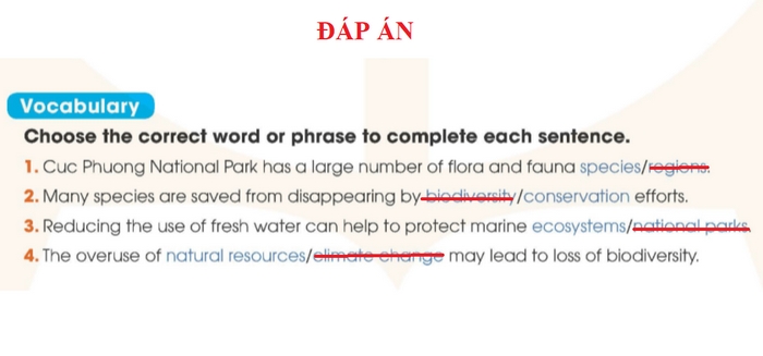 Đáp án bài tập Vocabulary tiếng Anh 11 Unit 10 Looking Back