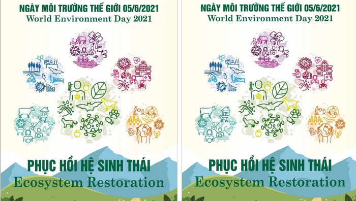 Tiếng Anh 11 Unit 10 Project là dịp học sinh vận dụng các kiến thức đã học để thiết kế poster về chủ đề phục hồi hệ sinh thái