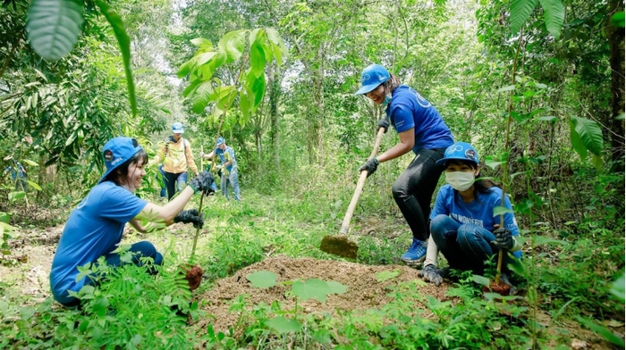 Yêu cầu bài tiếng Anh 11 Unit 10 Project là thiết kế poster về hệ sinh thái khu vực địa phương