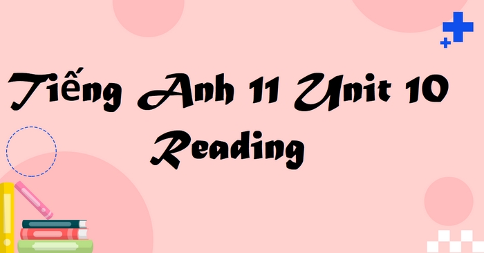 Nội dung tiếng Anh 11 Unit 10 Reading nói về trải nghiệm đến Vườn quốc gia U Minh Thượng của các nhân vật