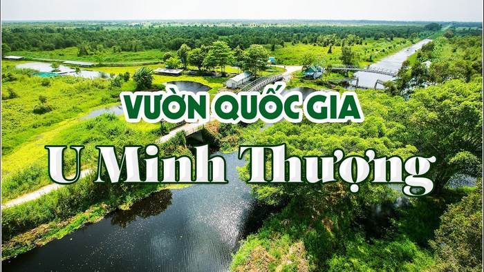 Bài đọc tiếng Anh 11 Unit 10 Reading giúp học sinh có thêm thông tin về rừng quốc gia U Minh Thượng