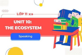 tiếng Anh 11 Unit 10 Speaking