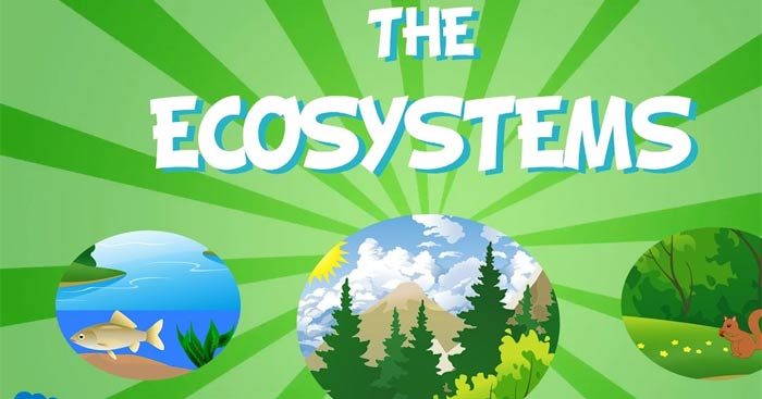 Phần tiếng Anh 11 Unit 10 Speaking sẽ mở ra chủ đề hệ sinh thái, yêu cầu học sinh thảo luận và trình bày trước lớp