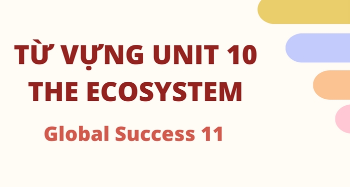 Tìm hiểu tiếng Anh 11 Unit 10 Từ Vựng là bước đầu tiên để hiểu nội dung, hoàn thành các bài tập trong Unit 10