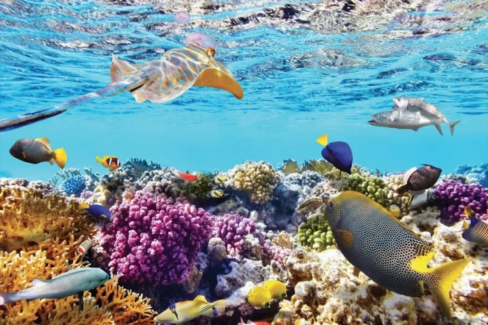 Tiếng Anh 11 Unit 10 Từ Vựng đều xoay quanh các vấn đề thuộc hệ sinh thái trên Trái Đất